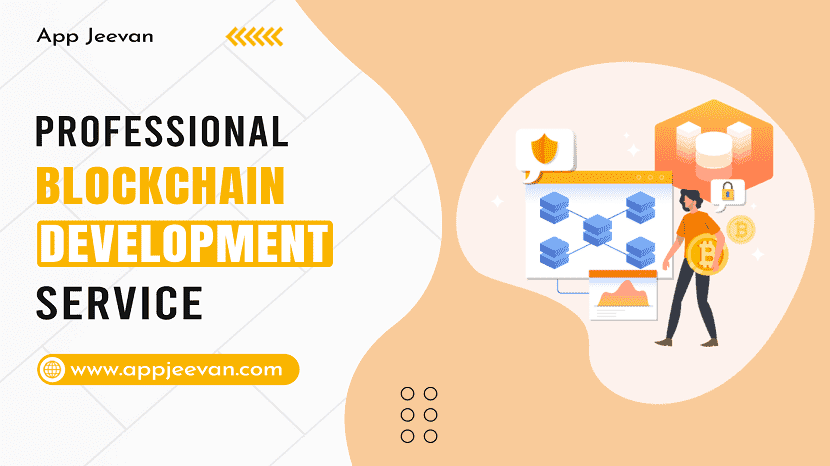 Professional Blockchain Development Service