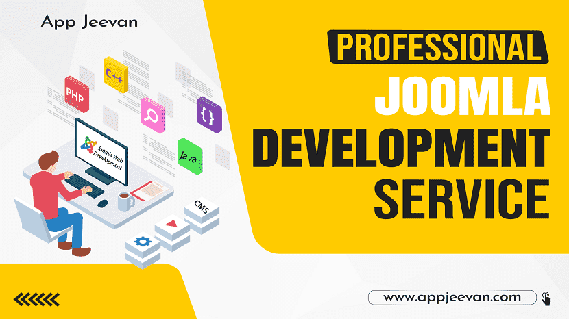 Professional Joomla Development Service