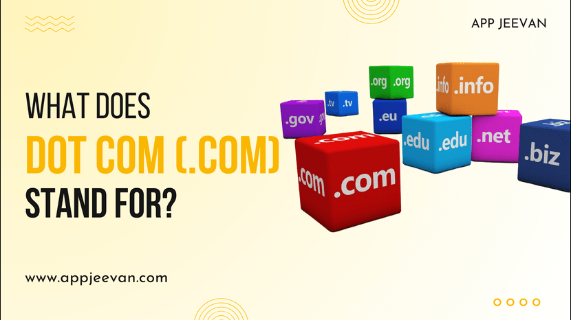 What does dot com (.com) stand for?